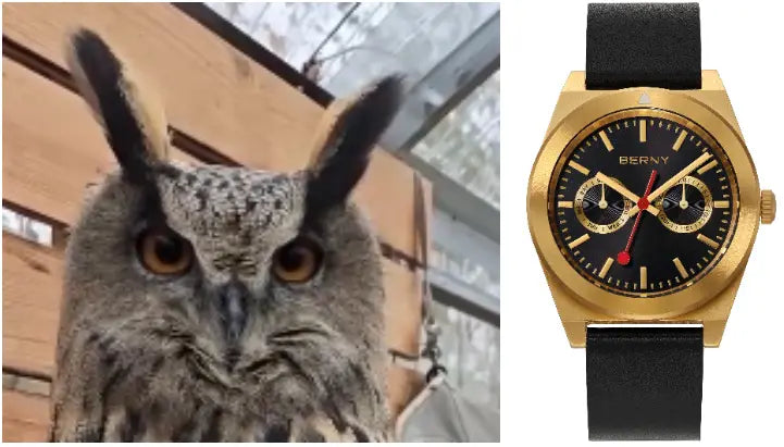 2935M-owl and subdial